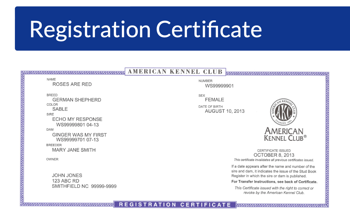 KC registration certificate,